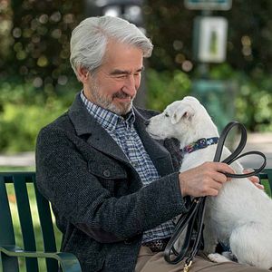 Foto Grace and Frankie