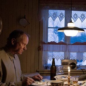 Foto Cavalos Roubados