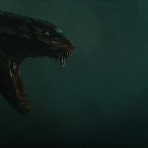 Foto O Dom da Serpente