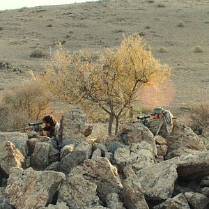 Foto 15 Minutos de Guerra