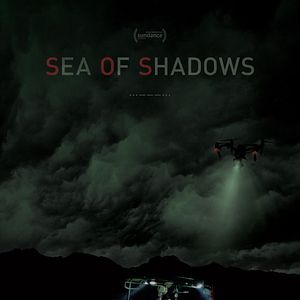 Foto Sea of Shadows