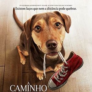 Foto A Caminho de Casa