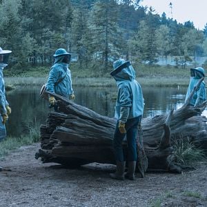 Foto Labirinto Verde