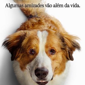 Foto Juntos para Sempre