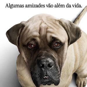 Foto Juntos para Sempre