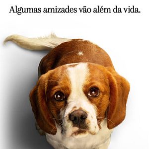 Foto Juntos para Sempre