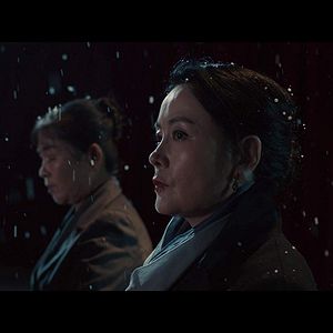 Foto Um Cão Latindo Para a Lua