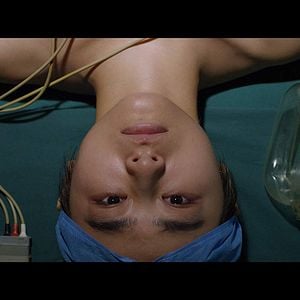 Foto Um Cão Latindo Para a Lua