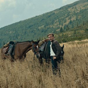 Foto Cavalos Roubados