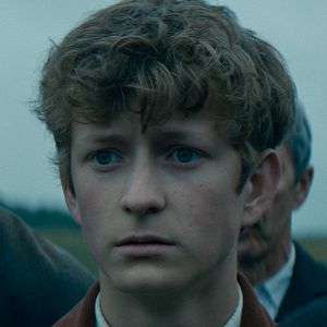 Foto Cavalos Roubados