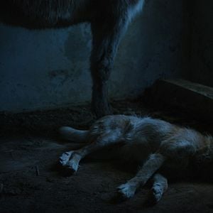 Foto Eu Estava em Casa, Mas...