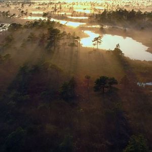 Foto O Anel do Rei - A Última Batalha