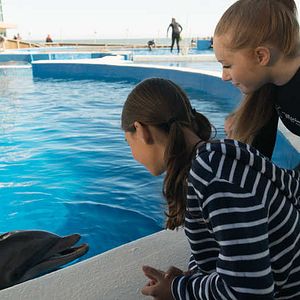 Foto Bernie, O Golfinho