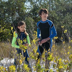Foto Bernie, O Golfinho