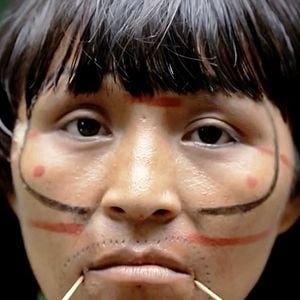 Foto Guerreiros da Floresta