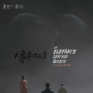 Foto Um Elefante Sentado Quieto