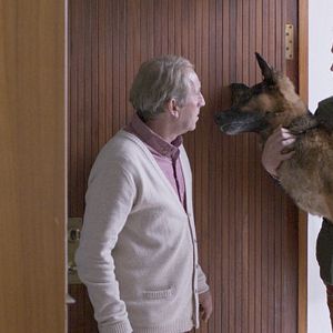 Foto A Sombra da Árvore