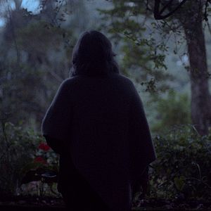 Foto Elogio da Liberdade