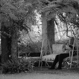 Foto Elogio da Liberdade