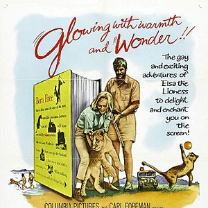 Foto A História De Elsa