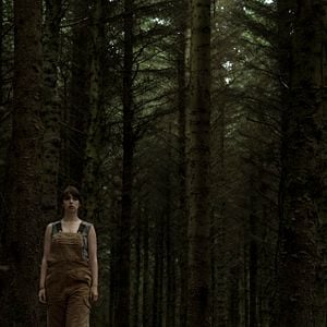 Foto The Hole In The Ground