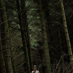 Foto The Hole In The Ground