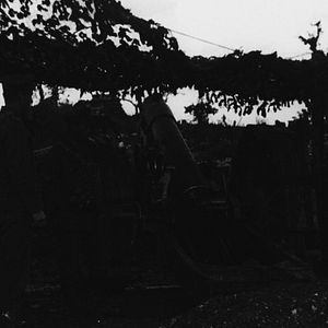 Foto Eles Não Envelhecerão