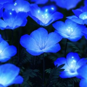 Foto Maquia: Quando a Flor Prometida Floresce