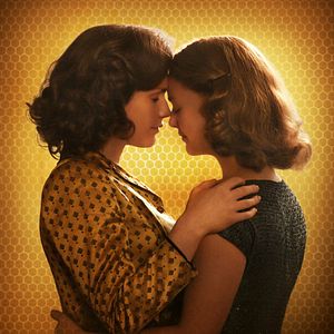 Foto Fale com as Abelhas