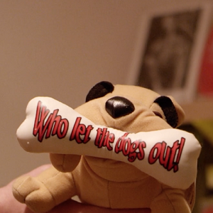 Foto Who Let The Dogs Out