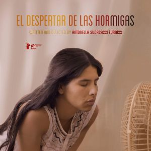 Foto O Despertar das Formigas