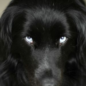 Foto A Pequena Grande Fazenda