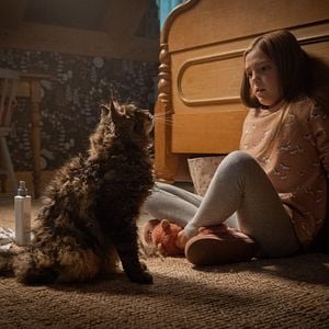 Foto Cemitério Maldito