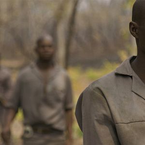 Foto Na Linha de Frente