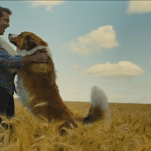 Foto Dennis Quaid