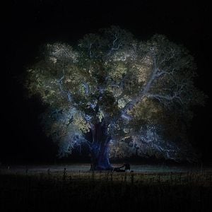 Foto Jessica Forever