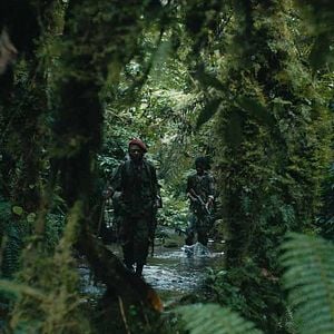 Foto The Mercy of the Jungle