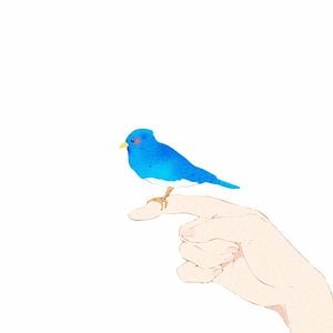 Foto Rizu to Aoi tori