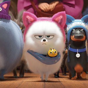 Foto Pets - A Vida Secreta dos Bichos 2