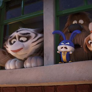 Foto Pets - A Vida Secreta dos Bichos 2