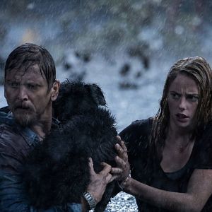 Foto Predadores Assassinos