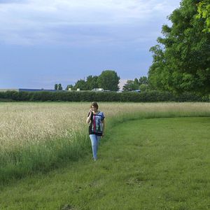 Foto In The Mighty Jungle