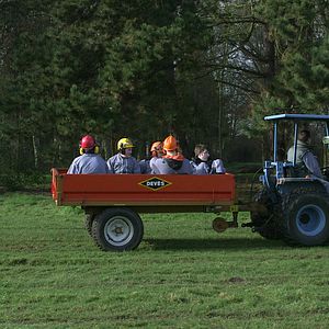 Foto In The Mighty Jungle