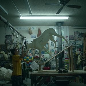 Foto A Escolha de Mickey