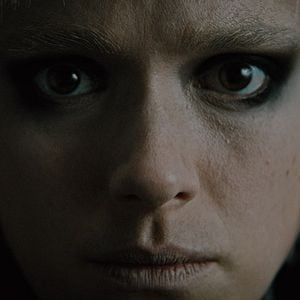 Foto Dogs Don't Wear Pants