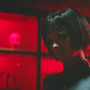 Foto Dogs Don't Wear Pants