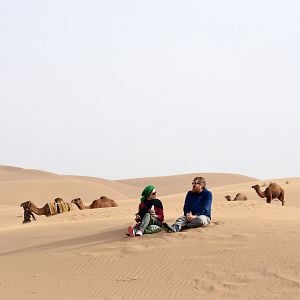 Foto Alireza Motamedi