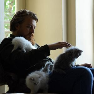 Foto Alireza Motamedi