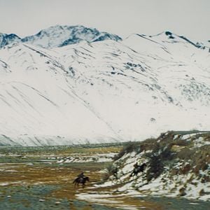 Foto Morra, Monstro, Morra