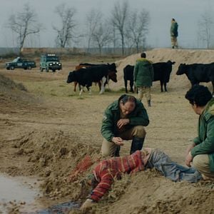 Foto Morra, Monstro, Morra